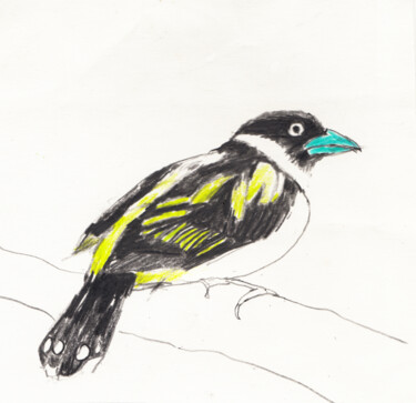 Bird 3